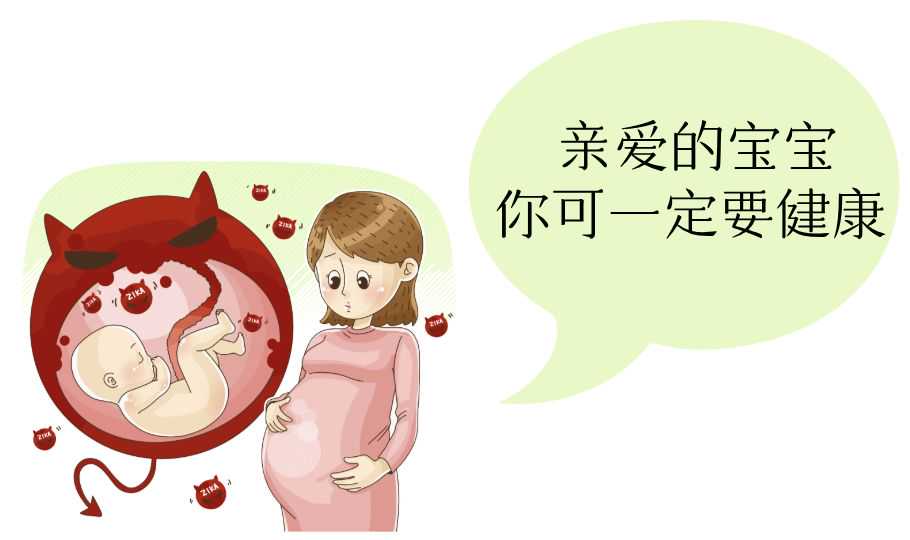 上海代怀价格6万，上海供卵三代试管婴儿包生男孩价格20万可信吗？