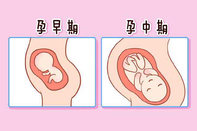 2024上海第三代供卵试管医院排行榜，宝生男科医院推荐！