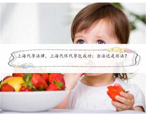 上海代孕法律，上海代怀代孕包成功：合法还是非法？