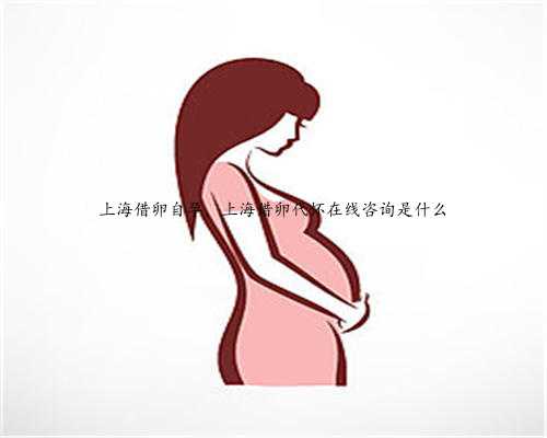 上海借卵自孕，上海借卵代怀在线咨询是什么