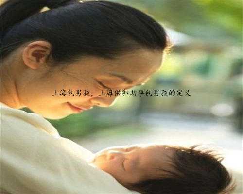 上海包男孩，上海供卵助孕包男孩的定义