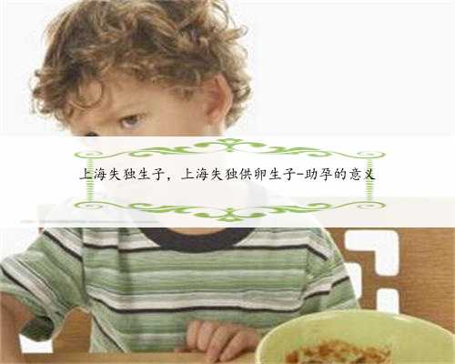 上海失独生子，上海失独供卵生子-助孕的意义