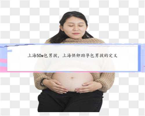 上海50w包男孩，上海供卵助孕包男孩的定义
