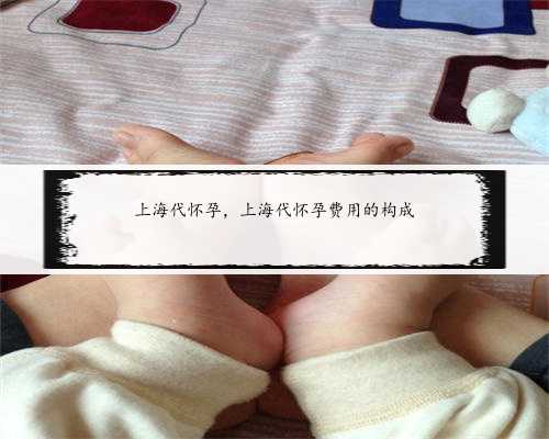 上海代怀孕，上海代怀孕费用的构成