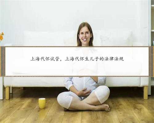 上海代怀试管，上海代怀生儿子的法律法规