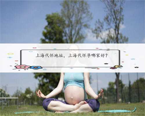 上海代怀地址，上海代怀孕哪家好？