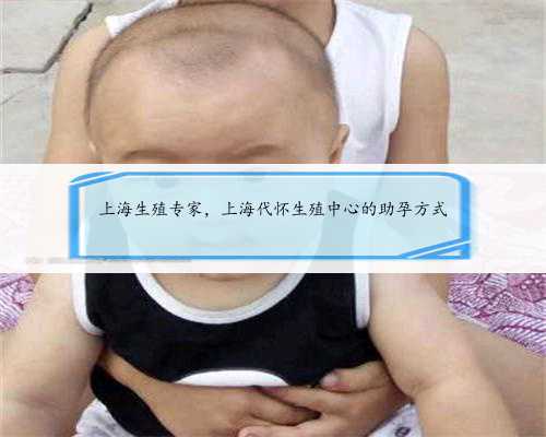 上海生殖专家，上海代怀生殖中心的助孕方式