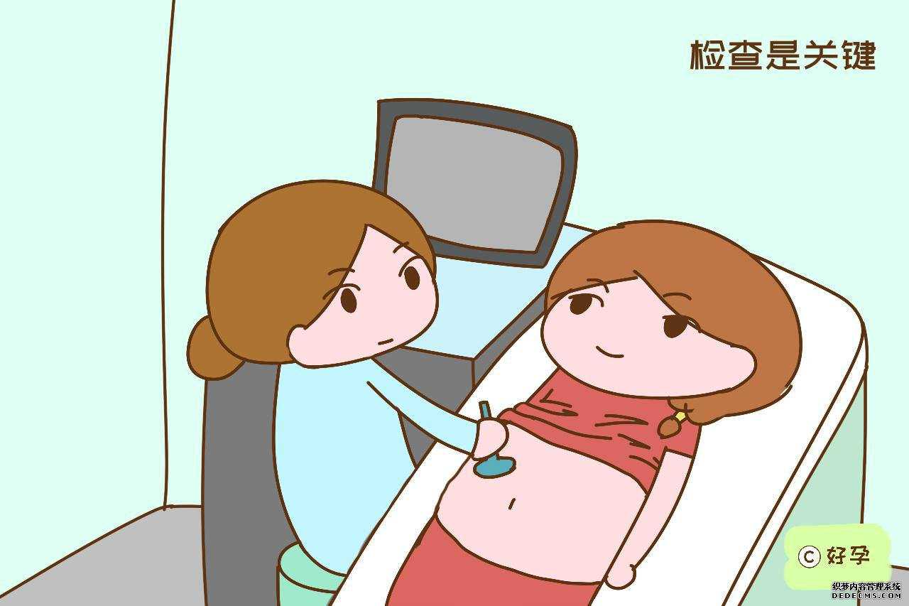 上海助孕正规吗_上海代孕哪家安全_上海助孕费用多少钱