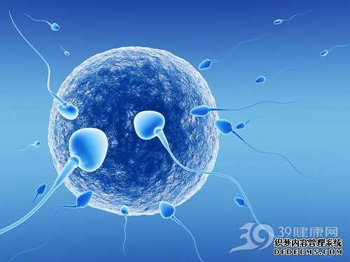 上海买卵子人工受孕,上海双侧输卵管堵塞还能怀上吗,代生服务流程