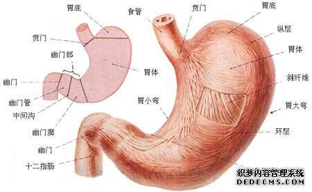 上海代怀生 代孕宝宝地址-上海代生儿子-【选择供卵试管，你想要的答案就在这