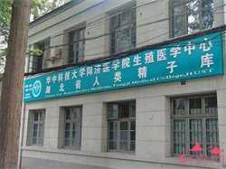 上海供卵自怀费用~上海有供卵的医疗机构吗，孕妇前三个月吃什么食物对胎儿