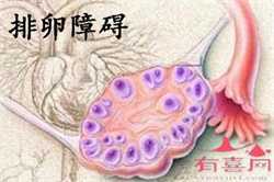 上海供卵自怀套餐~上海借卵试管的案例~，孕期肚子发硬是什么原因