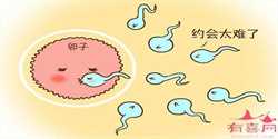 上海生男孩子代怀，预约供卵流程