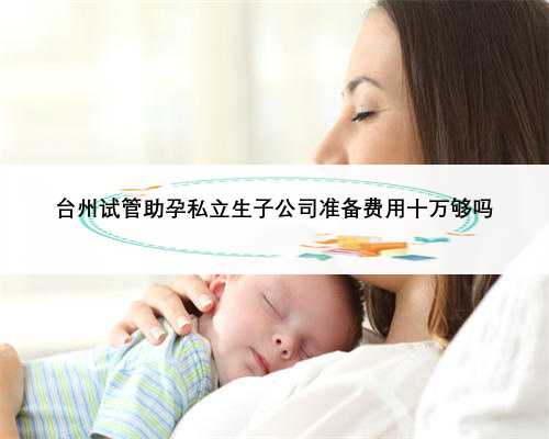 台州试管助孕私立生子公司准备费用十万够吗